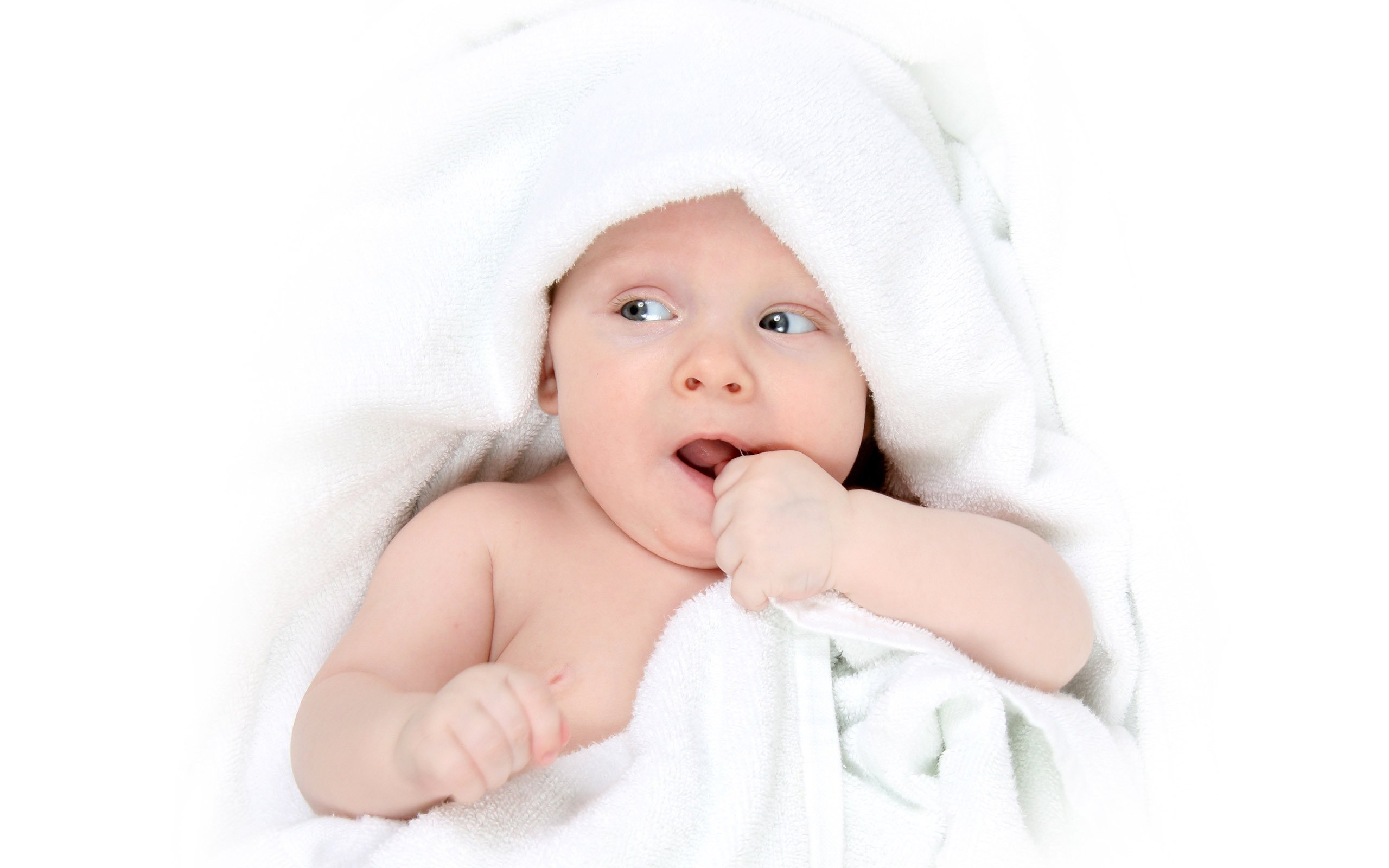 湖州正规捐卵机构试管婴儿一次成功率